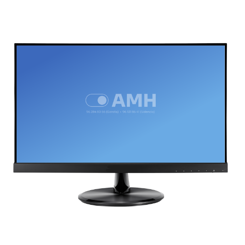Monitor 21"